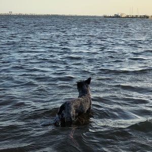 Meet your Posher, James